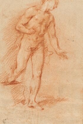 Male Nude