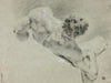 Male Nude Seen from the Back