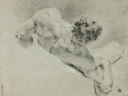 Male Nude Seen from the Back