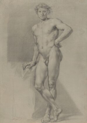 Male Nude Study
