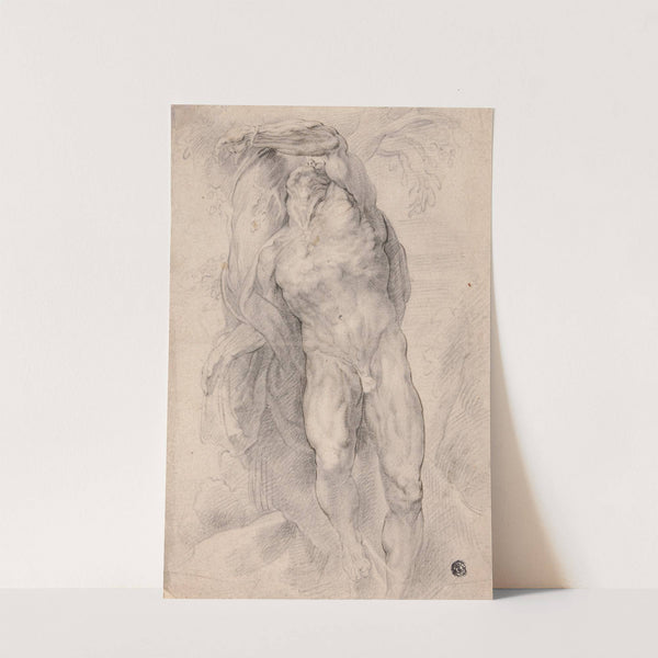 Male Nude Tied to Tree (c. 1620) by Follower of Peter Paul Rubens