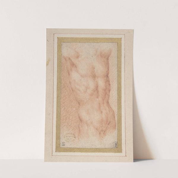 Male Nude Torso with Raised Arms by Parmigianino