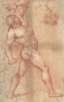 Male Nude with Left Arm Upraised, and a Further Study of His Head