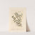 Male speedwell (1739) by Elizabeth Blackwell