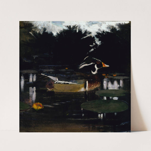 Male Wood Duck in a Forest Pool, study for book Concealing Coloration in the Animal Kingdom (ca. 1905-1909) by Abbott Handerson Thayer