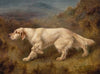 Mallwyd Ned