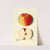 Malus domestica: French Pippin by M. Strange