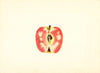 Malus domestica: Surprise