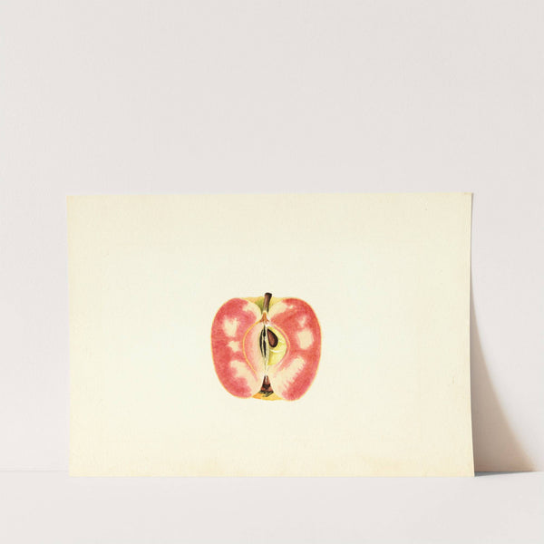 Malus domestica: Surprise by James Marion Shull