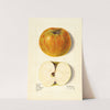 Malus domestica: Swan by M. Strange