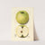 Malus domestica: White Pippin by Mary Daisy Arnold