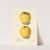 Malus domestica: Yellow Bellflower (1906) by Ellen Isham Schutt