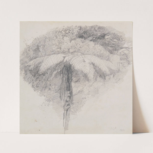 Mamaku, Taranaki (1851) by James Crowe Richmond