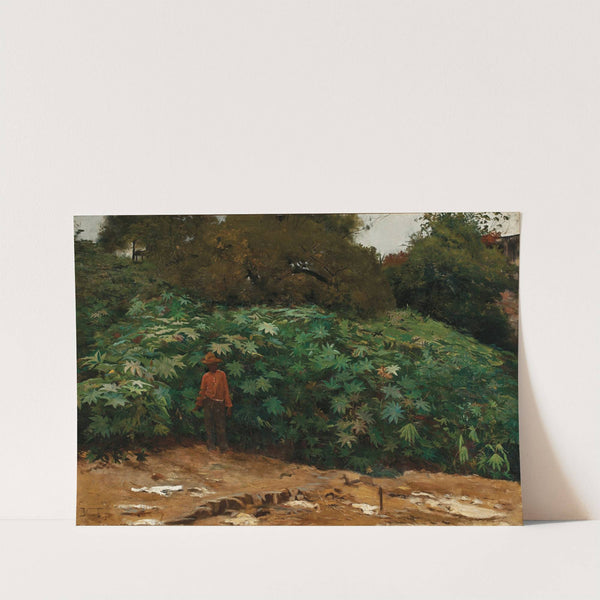 Mamoneiras - Morro de São Bento by Eliseu Visconti