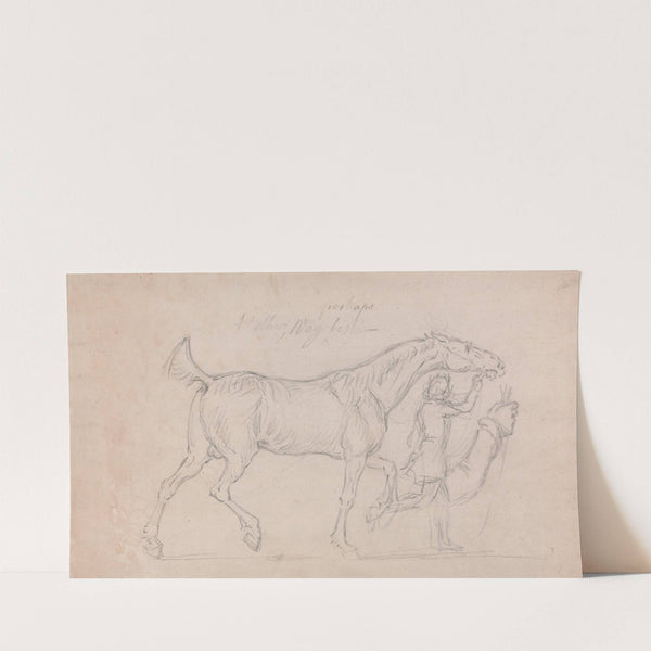 Man Leading a Trotting Stallion to Right by James Seymour