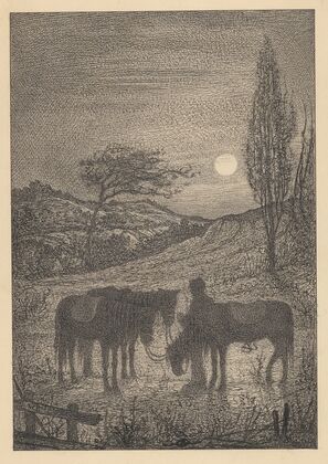 Man met drie paarden in een landschap