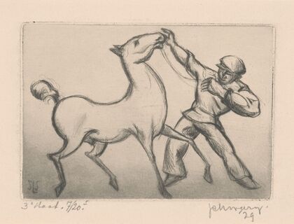 Man met paard