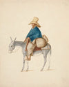 Man on Mule with Loaded Saddlebacks