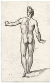 Man posing as the Apollo Belvedere, seen on his back