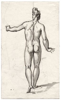 Man posing as the Apollo Belvedere, seen on his back