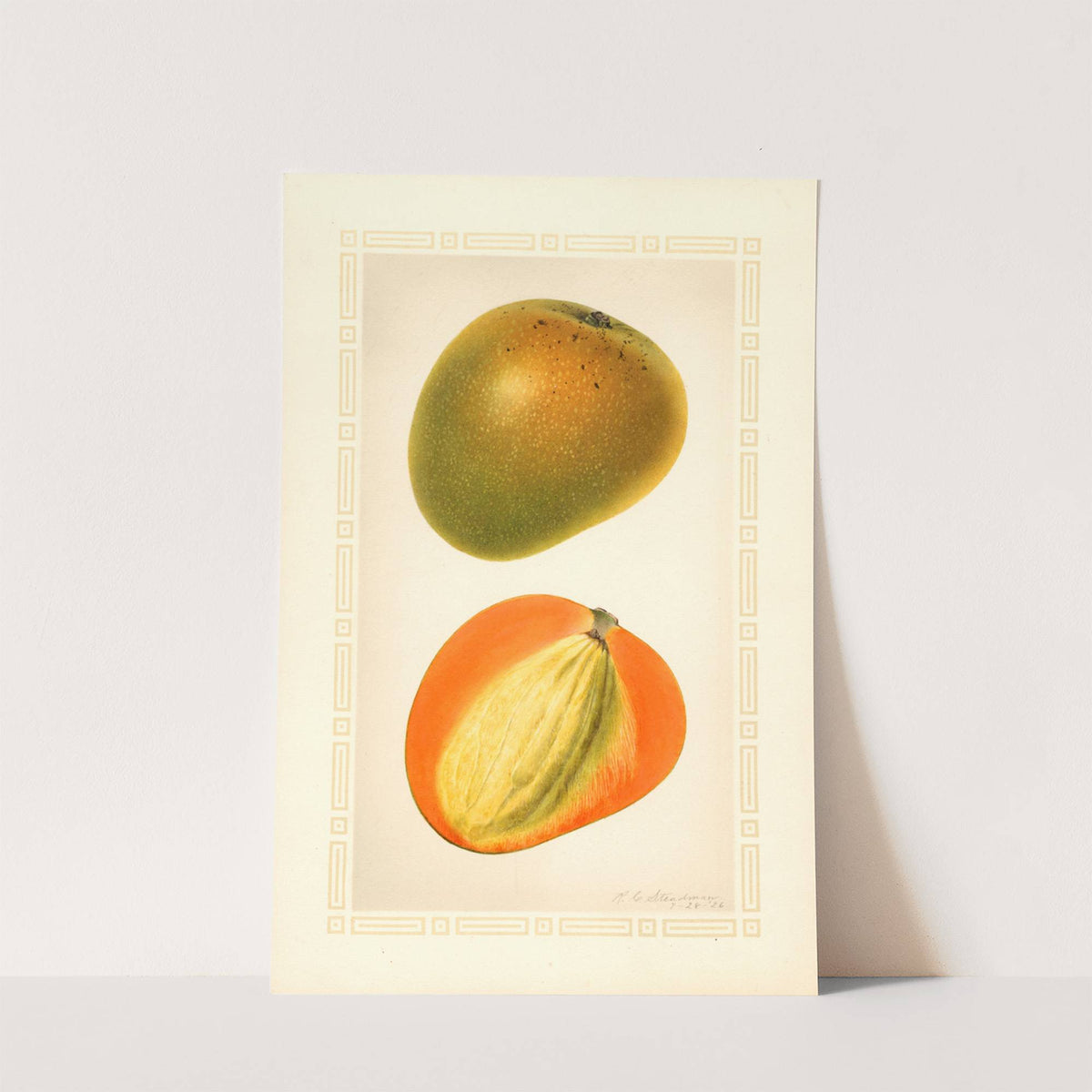 Mangifera indica: Baboony by Royal Charles Steadman
