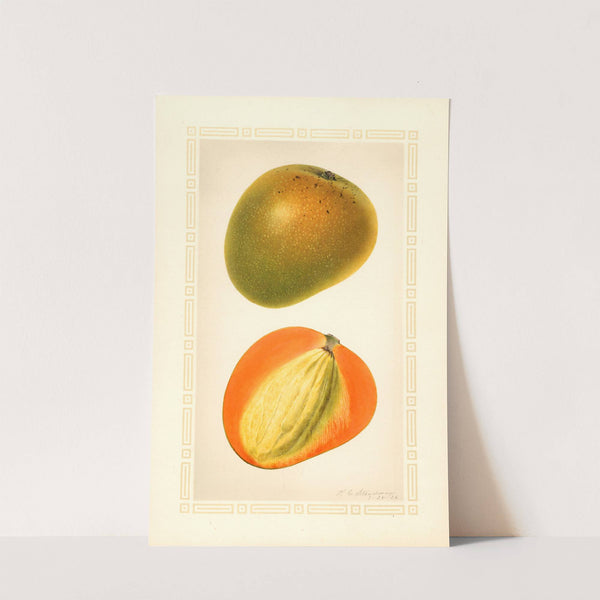 Mangifera indica: Baboony by Royal Charles Steadman