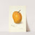Mangifera indica: Maharajah (1910) by Amanda Almira Newton