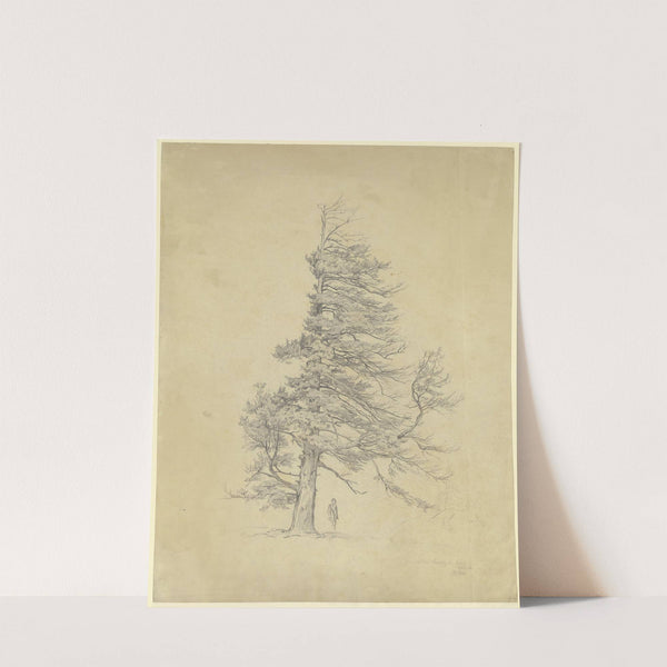 Mann unter einer Wetterfichte by Philipp Röth