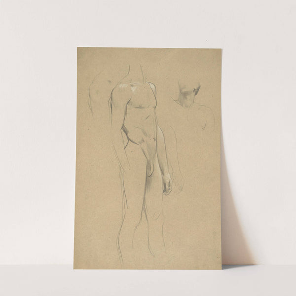 Männlicher Akt ohne Kopf, Hals- und Schulterstudie by Gustav Klimt