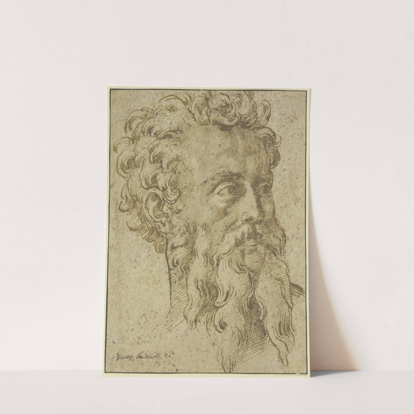 Männlicher Kopf mit langem geteiltem Bart dreiviertel nach rechts by Baccio Bandinelli