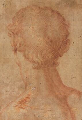 Man’s Head from the Back