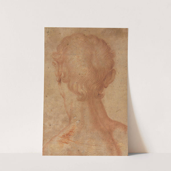 Man’s Head from the Back (16th century?) by Agnolo Bronzino