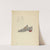 Man's Shoe by Nancy Crimi