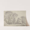 Manuka Grove on Taines Section, Upper Hutt by William Swainson