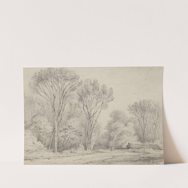 Manuka Grove on Taines Section, Upper Hutt by William Swainson