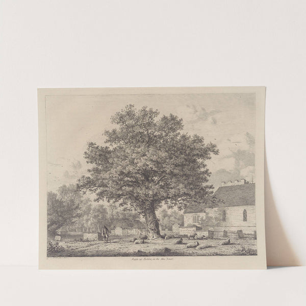 Maple in Boldre Church-Yard by Jacob George Strutt