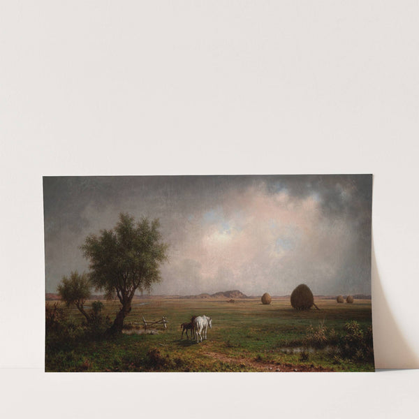 Mare and Colt in a Marsh (1863) by Martin Johnson Heade