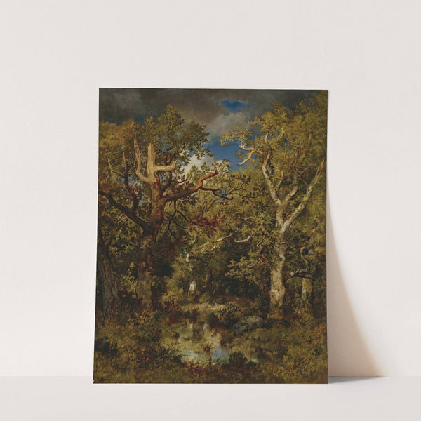 Mare En Fôret, Chêne Demi-Mort by Narcisse-Virgile Diaz de La Peña