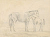 Mare with Foal