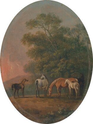 Mares and Foals