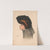 Marie (1905) by Hamilton King