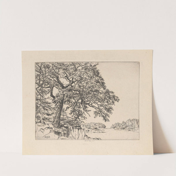 Marin’s Oak (1923) by Ernest Haskell