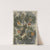Marmorpapier (mit Blüten) (1899) by Anna Plate