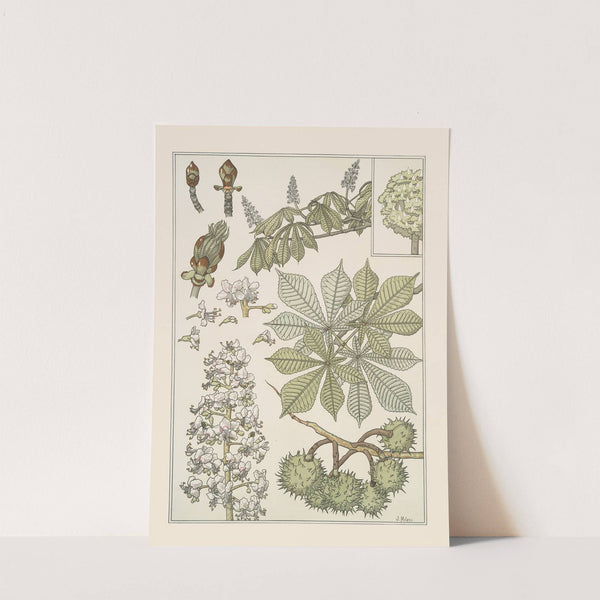 Marronnier by Maurice Pillard Verneuil