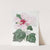 Marsh Hibiscus (1815-1819) by Sydenham Edwards