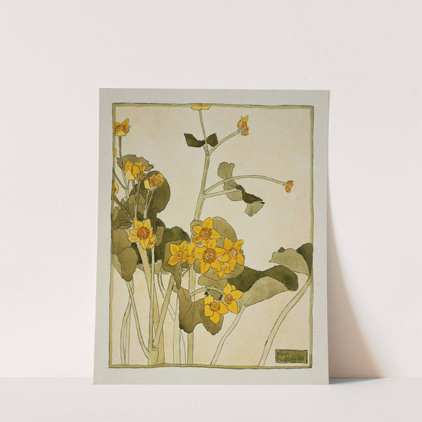 Marsh Marigold by Hannah Borger Overbeck