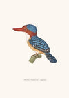 Martin-Chasseur Mignon