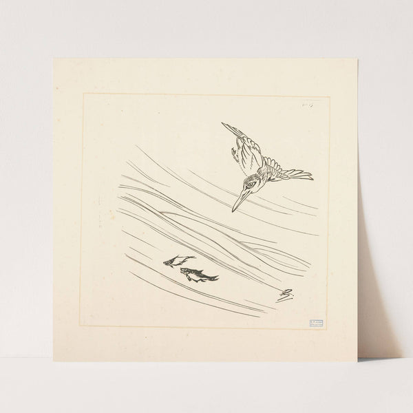 Martin-pêcheur, deux petits poissons. (1866 - 1878) by Félix Bracquemond