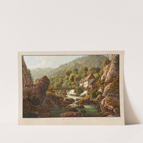 Martinet de Roche by Peter Birmann