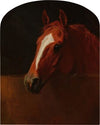 Mary Hadley in a Loose Box (1872)